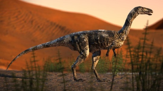 vespersaurus 1 1