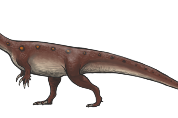 Massospondylus reconstruction