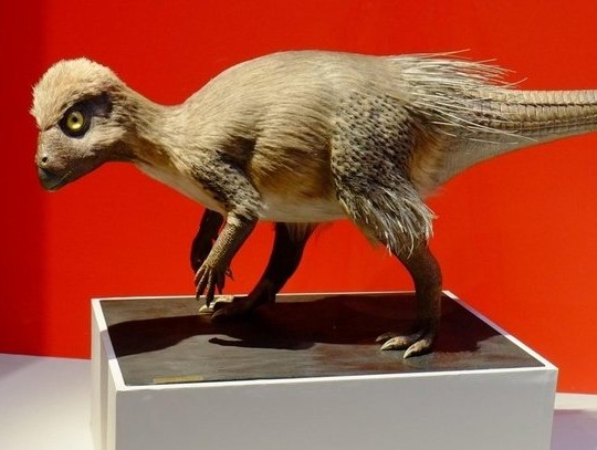 kulindadromeus zabaikalicus