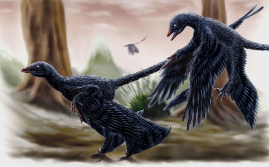 flying theropoda