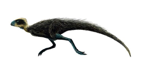 pisanosaurus mertii 1