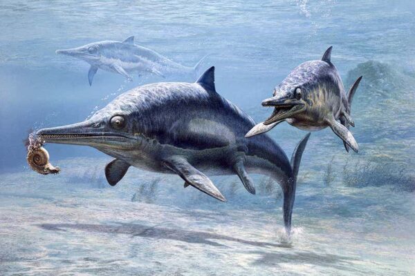 guizhouichthyosaurus 1