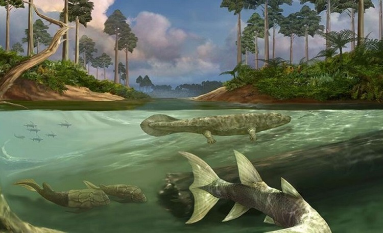 tides in evolution