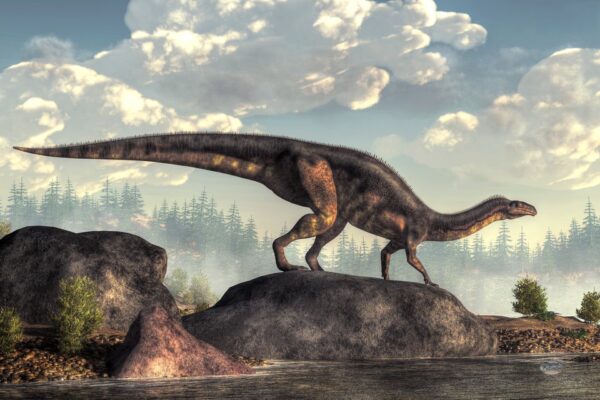 plateosaurus 1