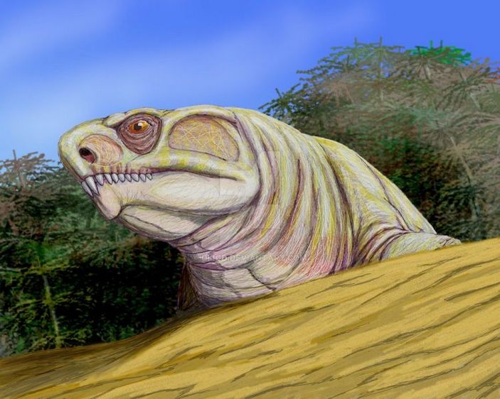 ennatosaurus tecton 4
