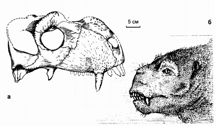 deuterosaurus 3