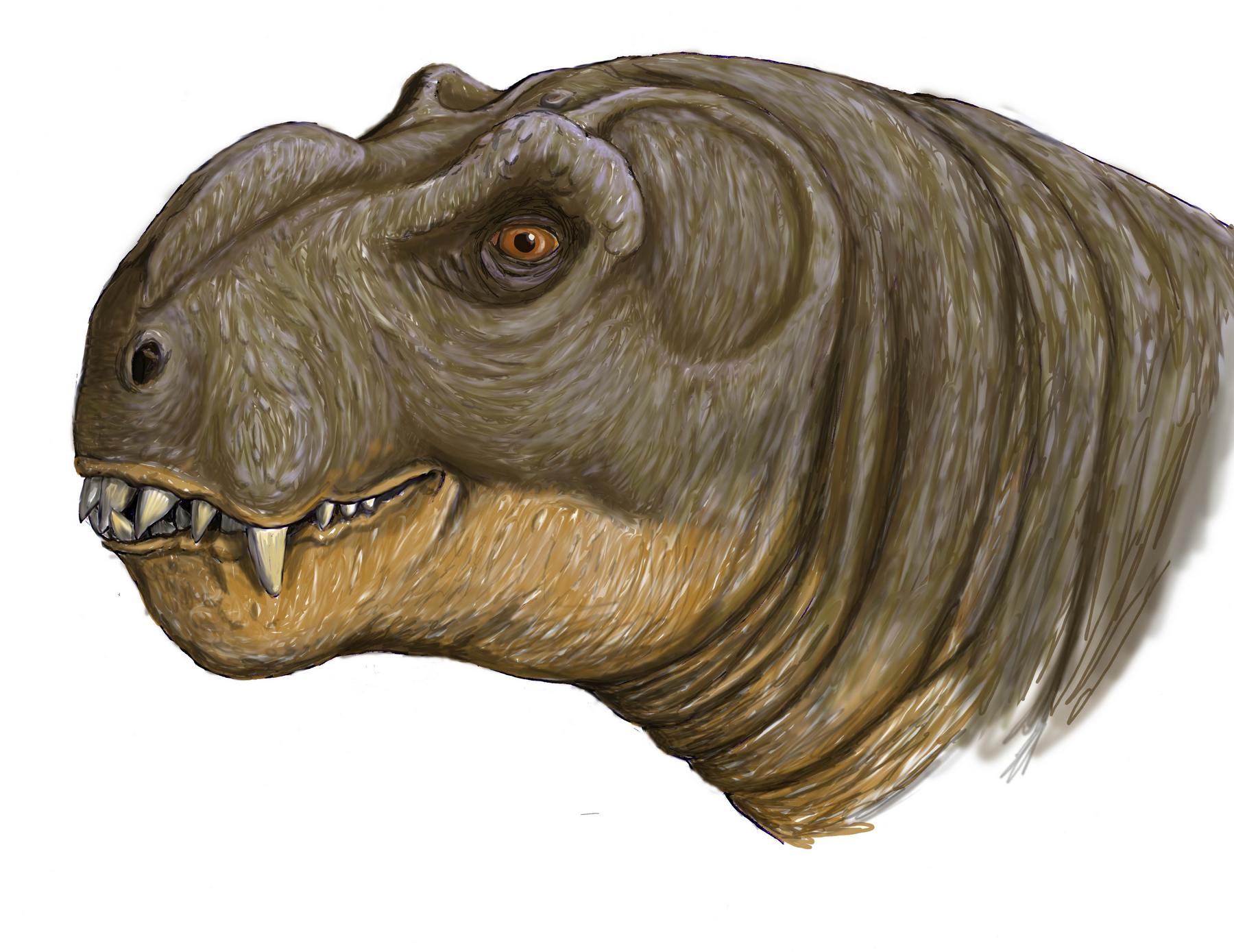 deuterosaurus 4