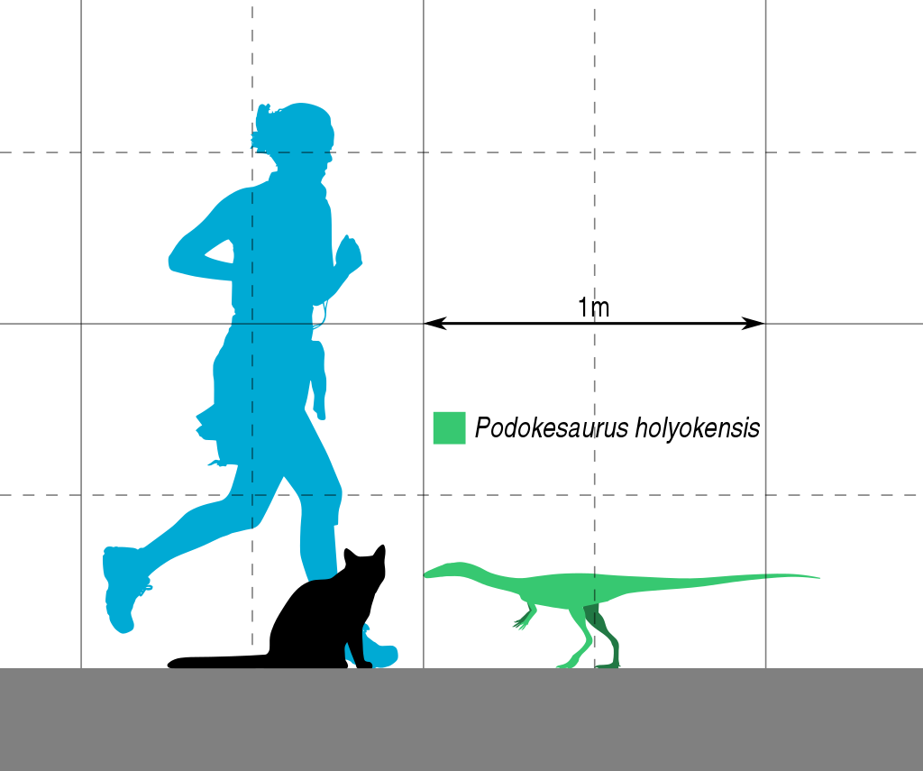 podokesaurus holyokensis 2
