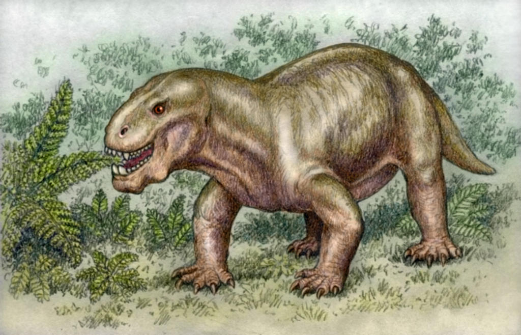 venyukovia prima 1