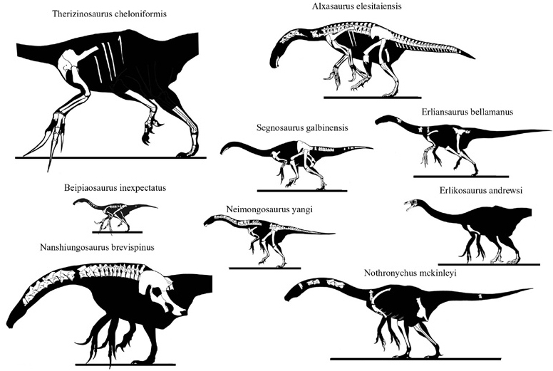 draw dynosaur 12