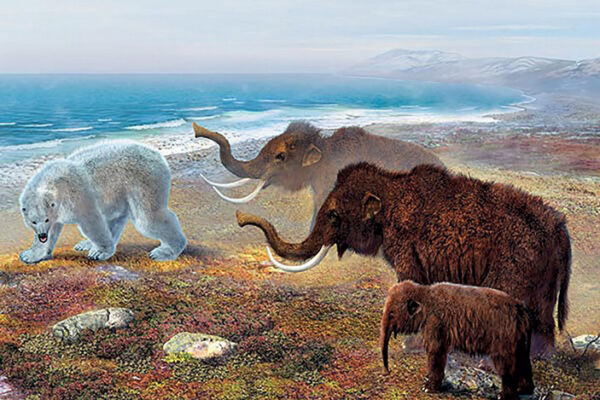 last mammoths 1